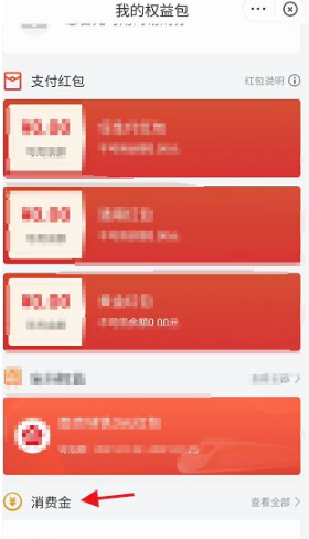 消费金