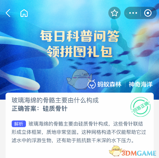 玻璃海绵示意图
