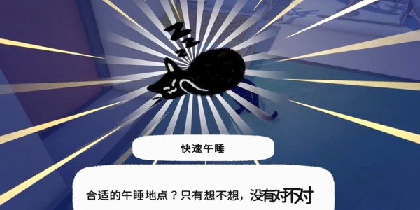 小猫咪快速午睡动作