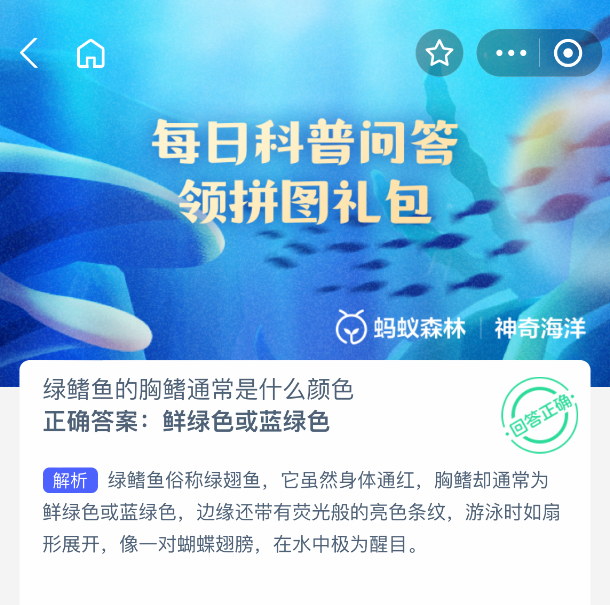 绿鳍鱼