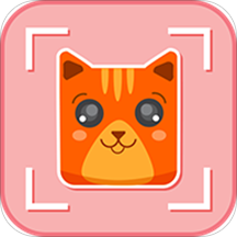 猫脸app下载_猫脸相机安卓最新版下载v3.0