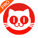 猫眼专业版新版本-安卓iOS版下载