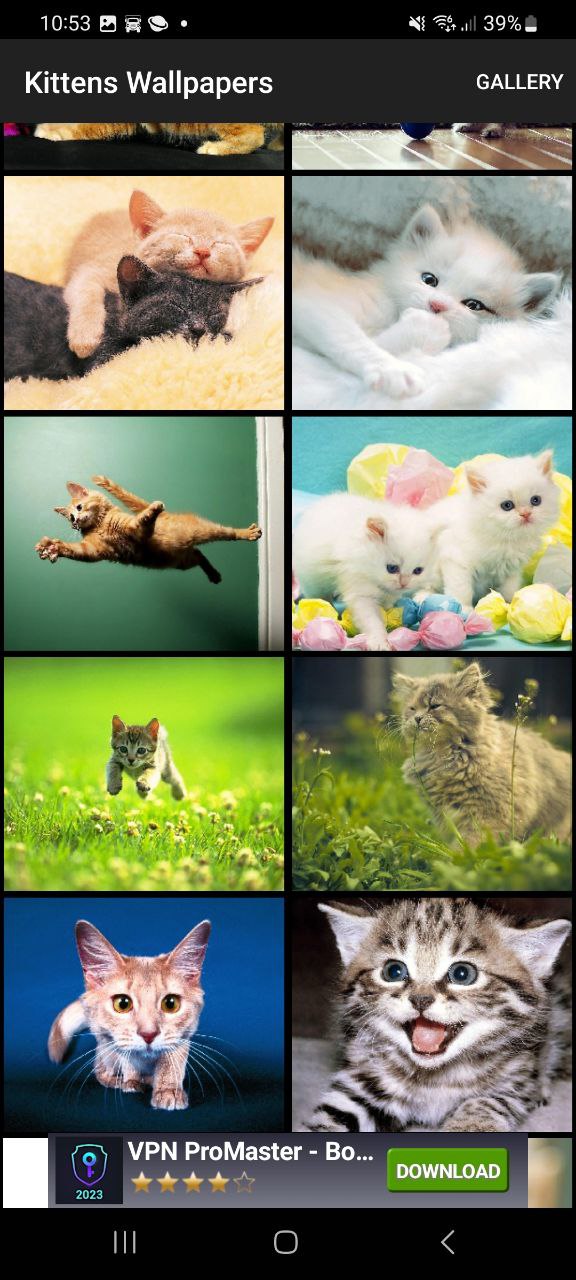 KittensWallpapersapp下载安装最新版本_KittensWallpapers应用纯净版v1.0