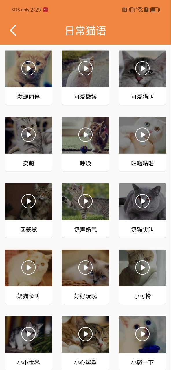 猫语翻译宝2024下载安卓_猫语翻译宝安卓永久免费版v1.2.4
