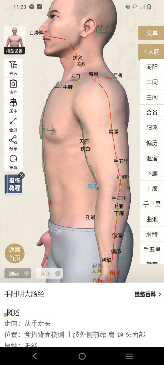 中濟經絡穴位