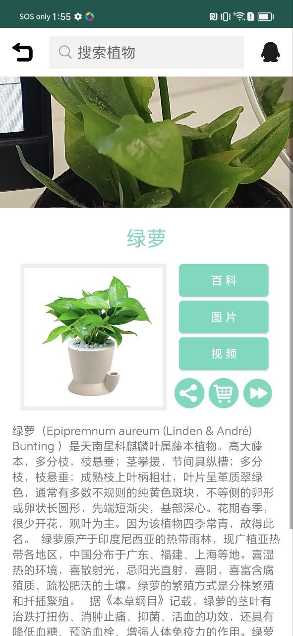 识花草app下载免费下载_识花草平台app纯净版v1.2.7