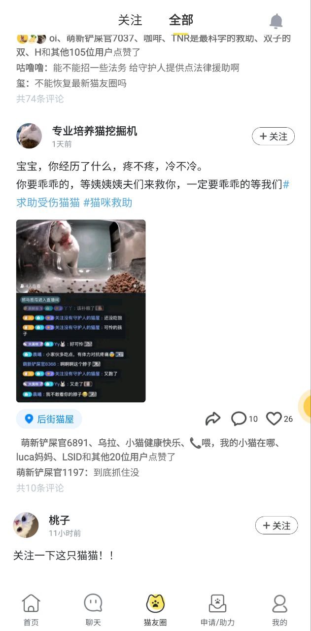 免费下载哈啰街猫最新版_哈啰街猫app注册v1.19.0