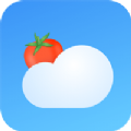 番茄天气软件app_番茄天气app2023下载v2.0.0