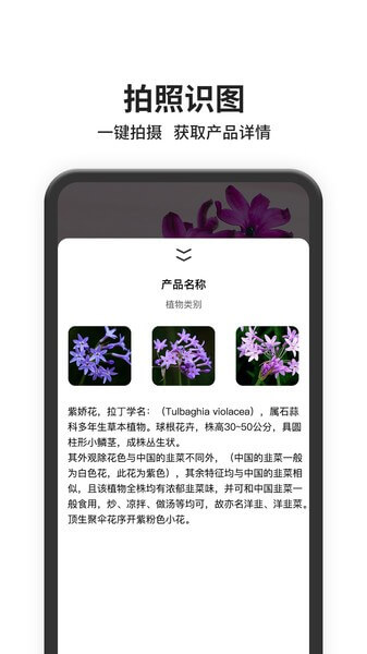 图片搜索app下载安装_图片搜索应用安卓版v1.0.0