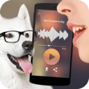 可爱猫狗翻译器免费安卓_可爱猫狗翻译器app免费安卓v1.0