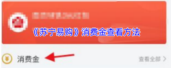 《苏宁易购》消费金查询全攻略