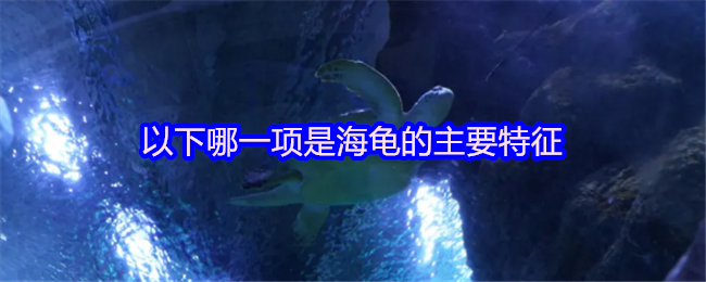 《支付宝》海龟的显著特点有哪些？