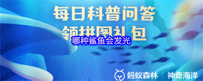 《支付宝》发光的鲨鱼种类揭秘