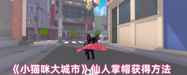 《小猫咪大城市》获取仙人掌帽的详细指南