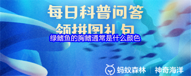 《支付宝》绿鳍鱼胸鳍的颜色特点解析