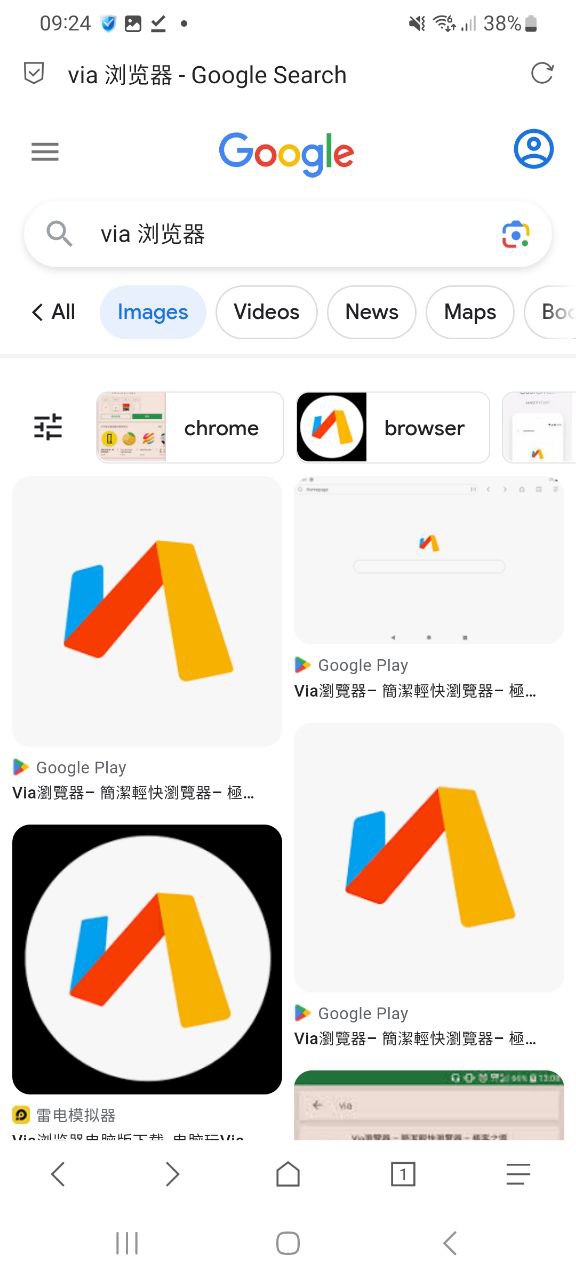 via浏览器软件