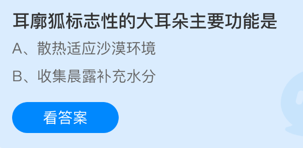 《支付宝》耳廓狐的大耳朵为何如此重要？