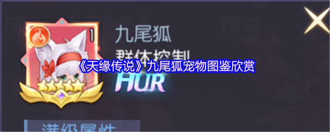 《天缘传说》九尾狐宠物详细资料与魅力展示