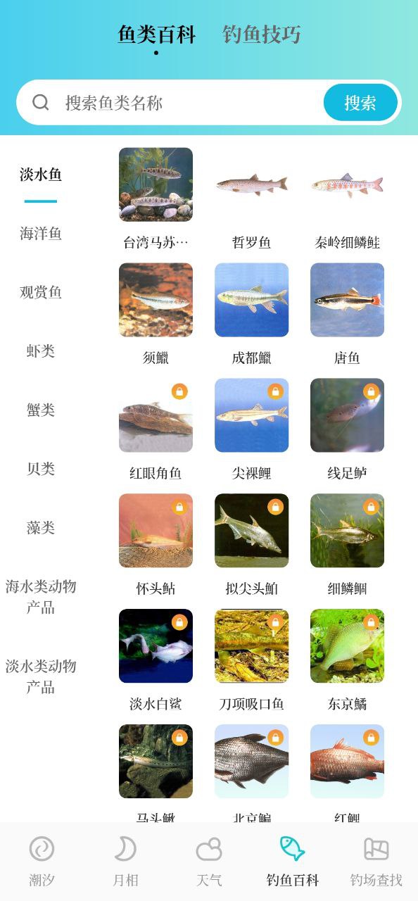 潮汐精灵下载