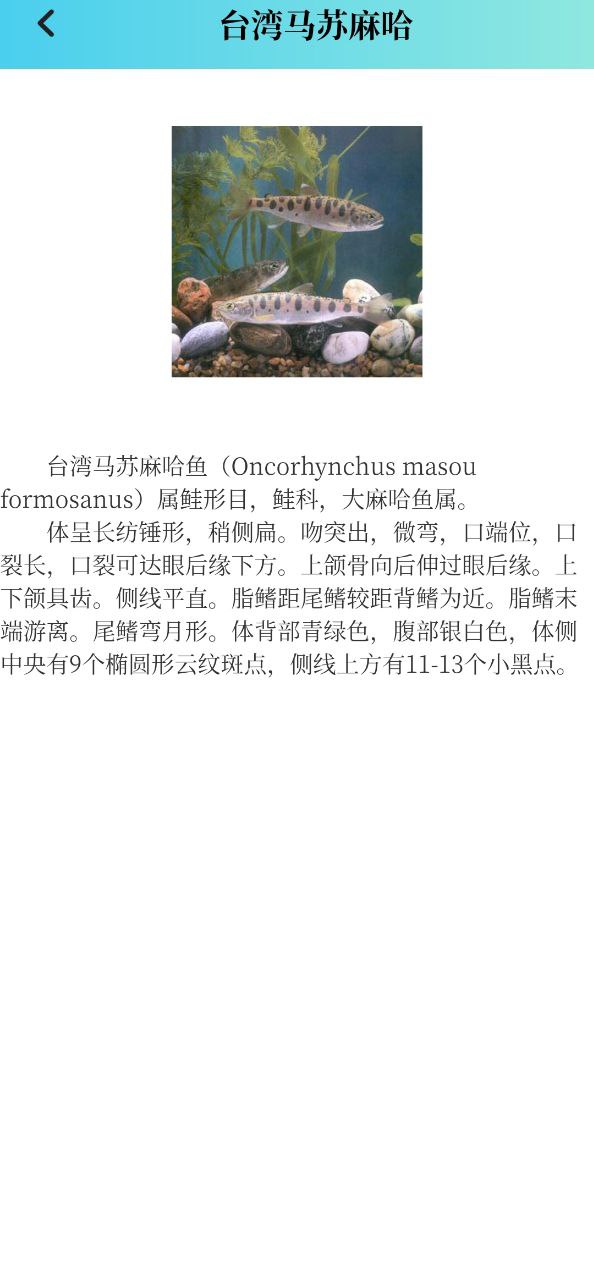 潮汐精灵下载