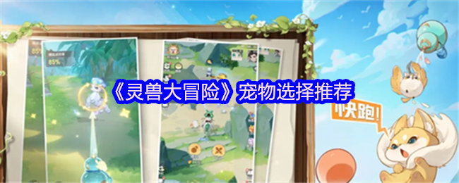《灵兽大冒险》最佳宠物选择指南
