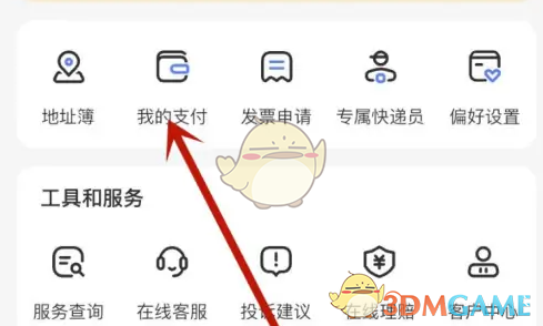 我的支付界面