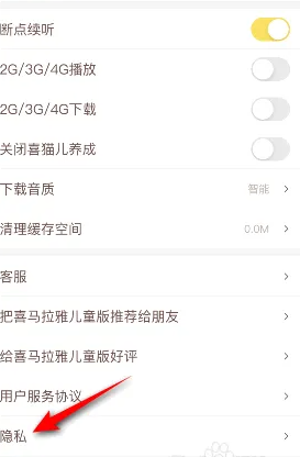 步骤2：点击隐私设置
