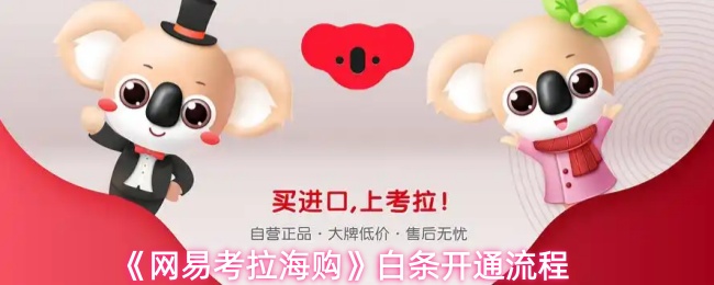 《网易考拉海购》白条申请步骤详解