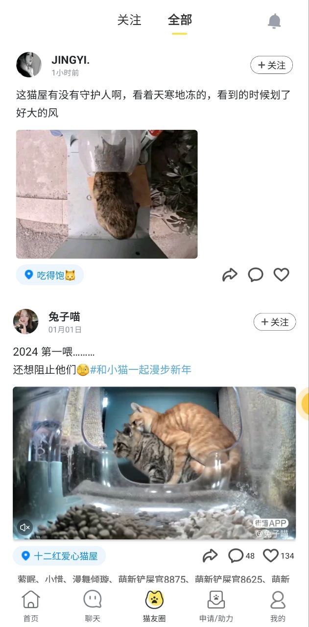 哈啰街猫