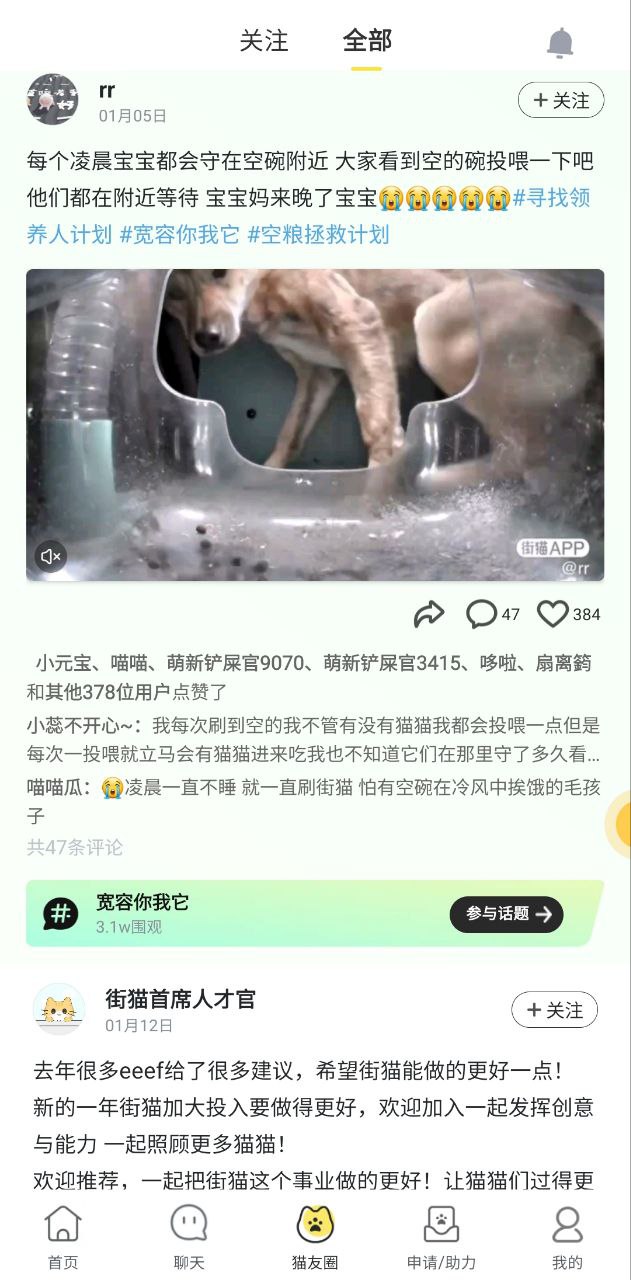 哈啰街猫