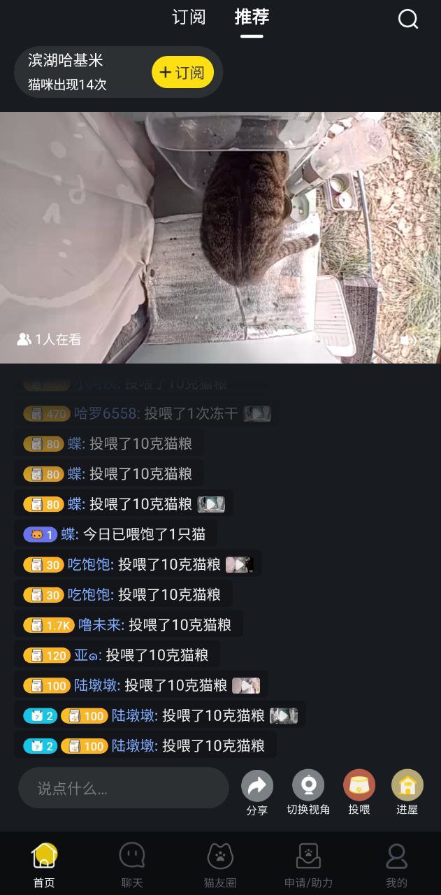 哈啰街猫
