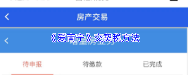 《爱南宁》交纳契税的步骤指南
