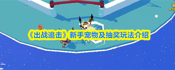 《出战追击》新手宠物及抽奖机制详解