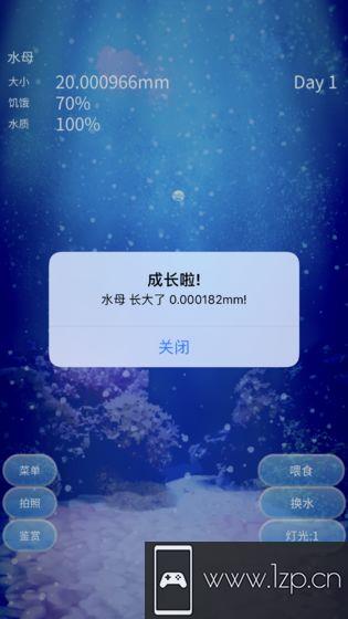 养育水母的治愈游戏app下载_养育水母的治愈游戏app最新版免费下载