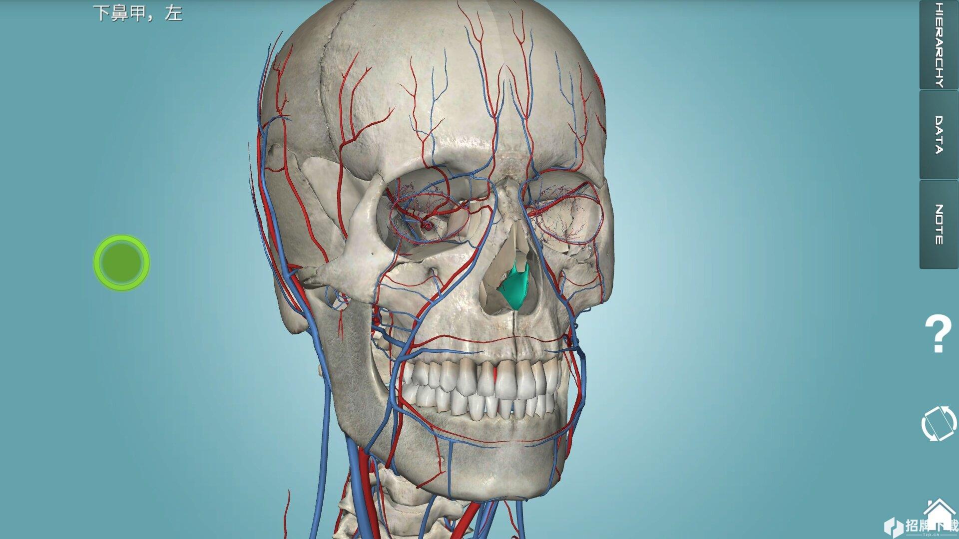 人体解剖学图集app下载_人体解剖学图集app最新版免费下载