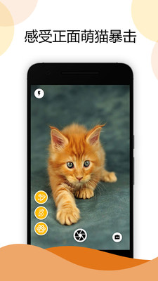 猫咪相机软件app下载_猫咪相机软件app最新版免费下载