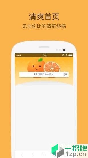 橘子小说浏览器appapp下载_橘子小说浏览器appapp最新版免费下载
