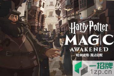 网易《哈利波特：魔法觉醒》