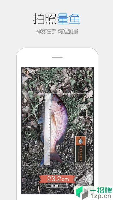 catches渔获app软件app下载_catches渔获app软件app最新版免费下载