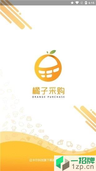 橘子采購app下載