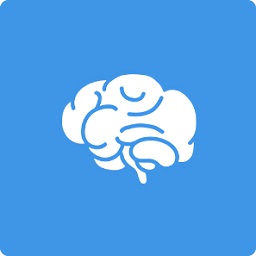 脑力人工智能v3.3.7安卓版