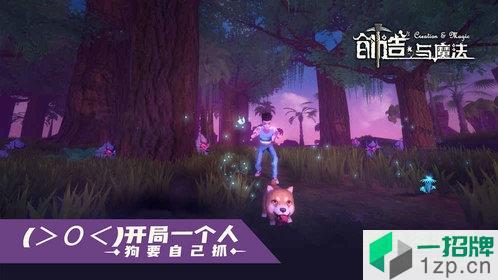 创造与魔法九游最新版本app下载_创造与魔法九游最新版本app最新版免费下载