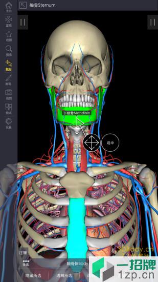 3dbody三维免费人体解剖软件app下载_3dbody三维免费人体解剖软件app最新版免费下载