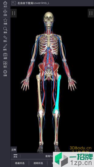 3dbody人體解剖學app下載