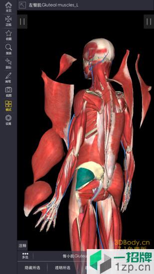 3dbody三维免费人体解剖软件app下载_3dbody三维免费人体解剖软件app最新版免费下载