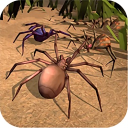消灭蜘蛛游戏v1.2安卓版