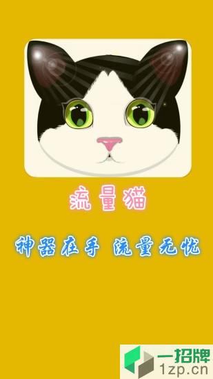 流量猫手机客户端app下载_流量猫手机客户端app最新版免费下载