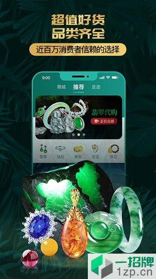淘翠珠宝app下载_淘翠珠宝app最新版免费下载