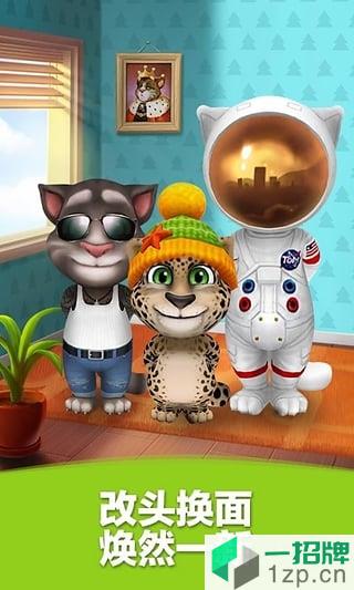 我的汤姆猫虫虫助手app下载_我的汤姆猫虫虫助手app最新版免费下载
