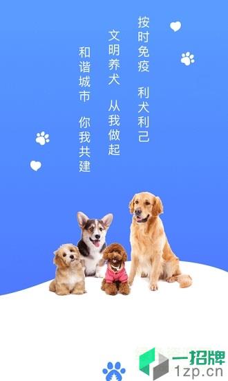 贵养犬(养犬证办理)app下载_贵养犬(养犬证办理)app最新版免费下载